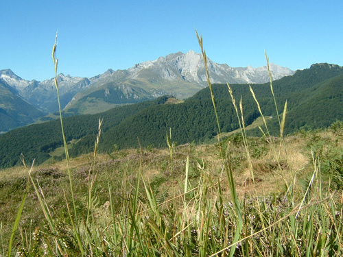 Vu du Gabizos - Tourisme autour de nos gites en val d'Azun dans les Pyrenees