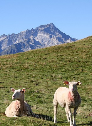 Gtes en Val d'Azun dans les Pyrenees